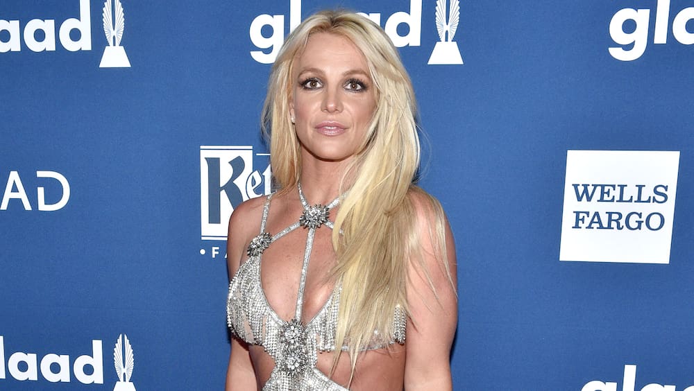 Britney Spears describes documentaries about her as hypocritical