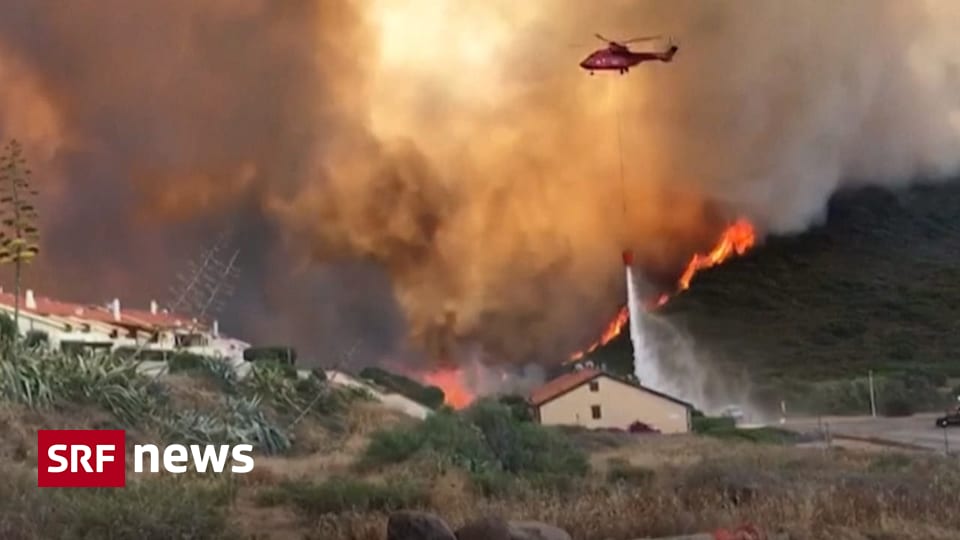 Thousands of hectares are burnt - flames are raging on Sardinia - News
