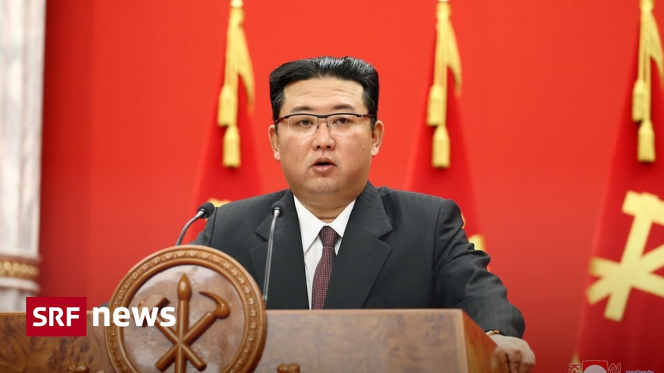 Kim admits there are problems - North Korea appears to need food aid - News