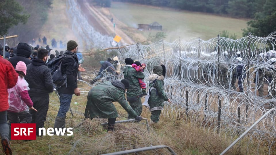 Migration through Belarus in the EU - due to migration flows: Poland and Lithuania strengthen border guards - News