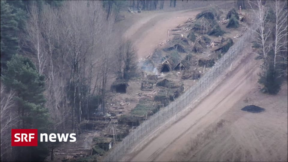 Immigration in Belarus - removal of migrant camps on the Belarusian-Polish border - News
