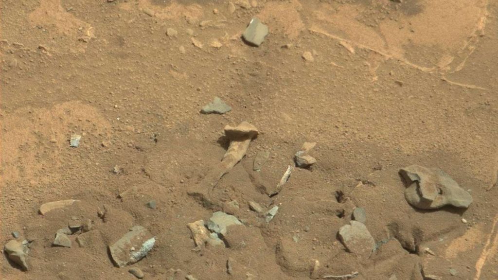 'Partially Buried Skeletons' on Mars?  NASA image raises questions