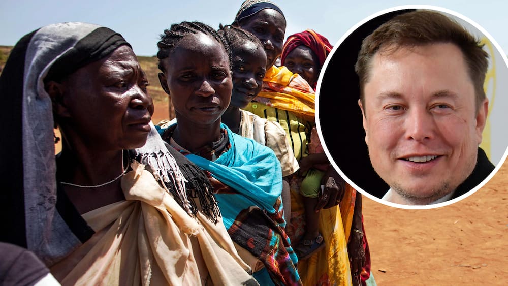 The United Nations presents Elon Musk with a plan to defeat world hunger