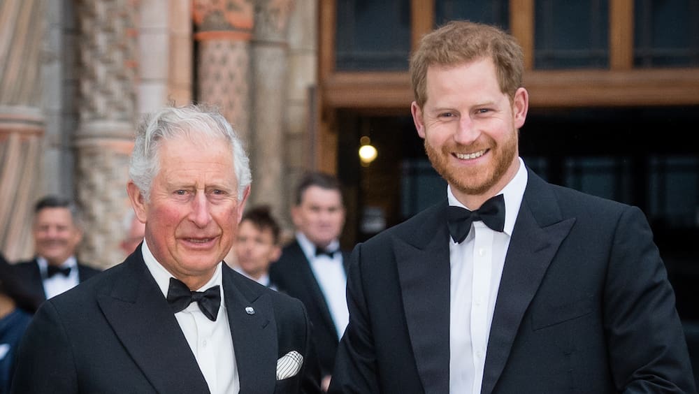 Prince Harry and Prince Charles talking again
