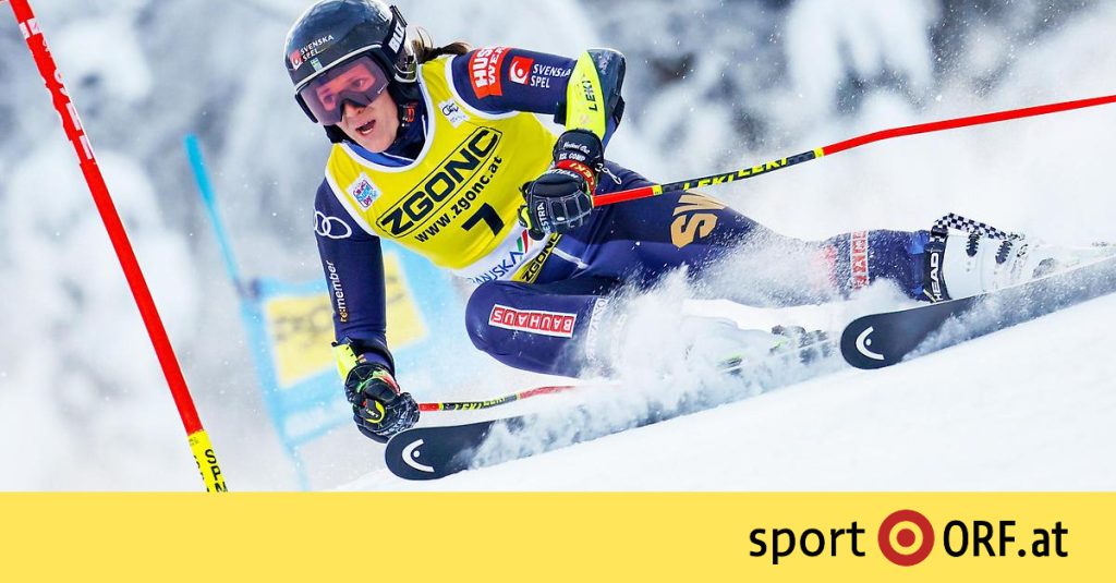 Alpine skiing: Hector grabbed the RTL at Kranjska Gora