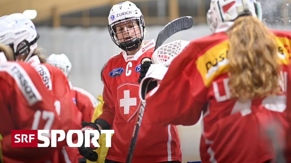 Swiss ice hockey players - with World Cup lessons in their baggage to an Olympic medal?  - Sports