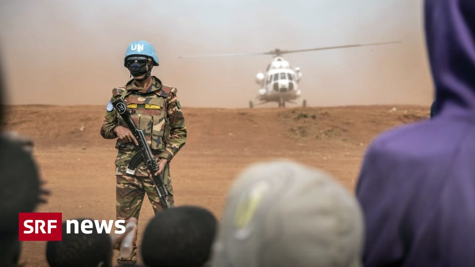 No survivors - Rebels shoot down UN helicopter in Congo Kinshasa - News