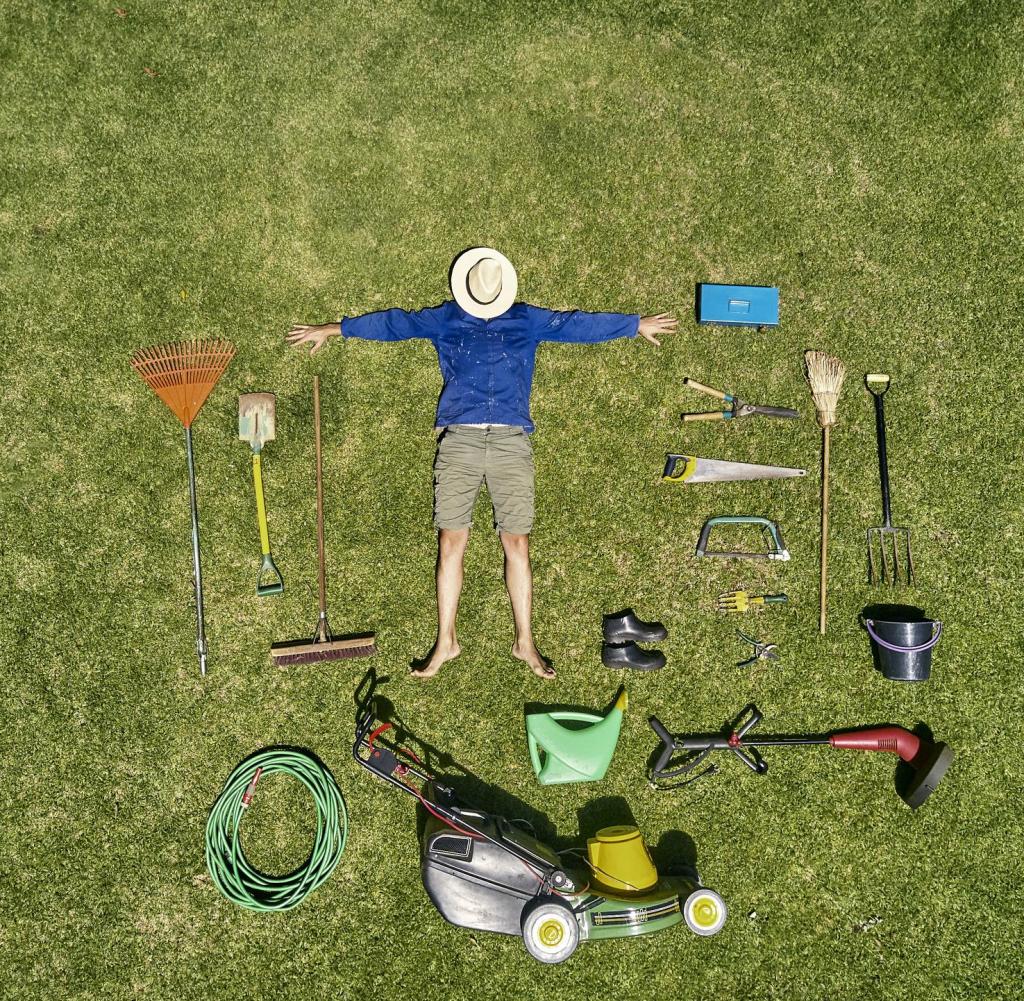 How often to cut?  How much water is left 15 tips for the perfect lawn