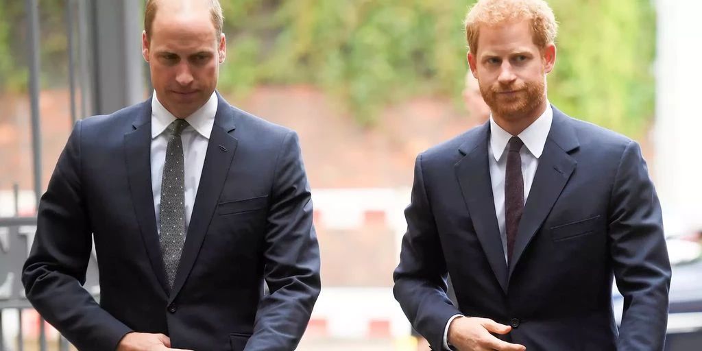 Prince William 'would be stupid' not to suspect Harry