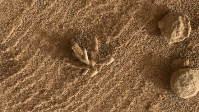 Space travel: The "a flower"taken on February 24 "Curiosity"less than two centimeters.