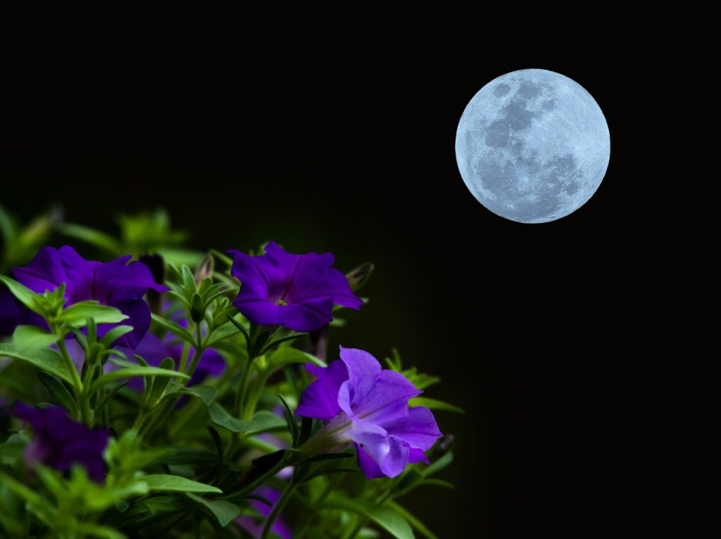 The full moon on May 16, 2022 is a happy time for three zodiac signs!