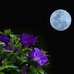 The full moon on May 16, 2022 is a happy time for three zodiac signs!