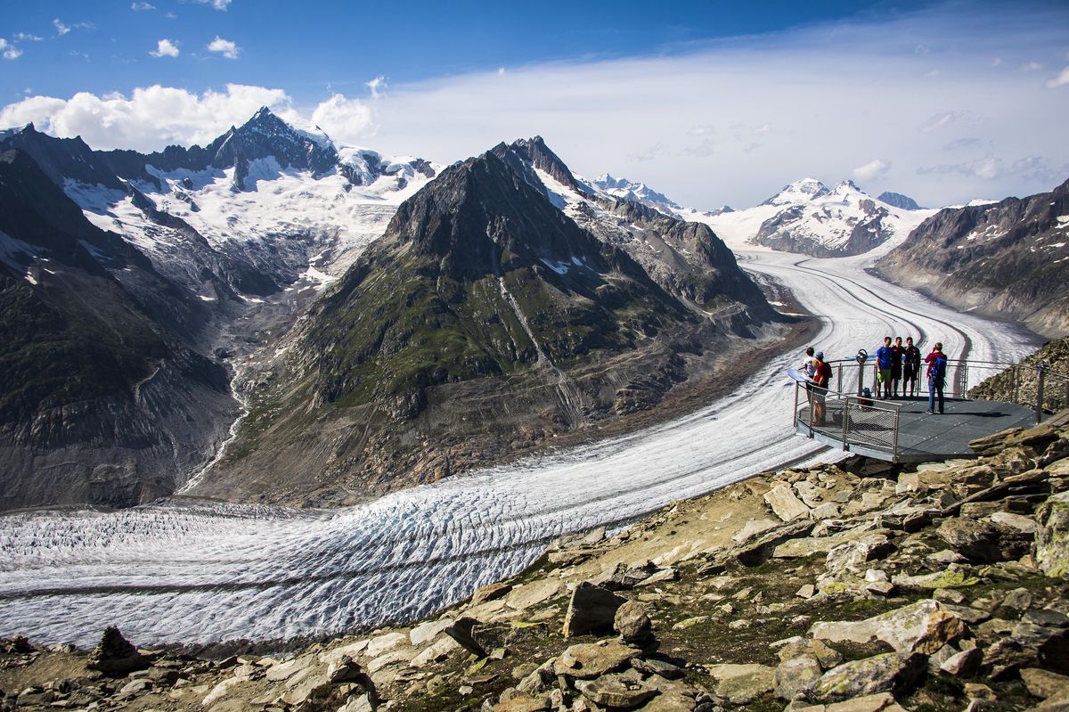 A view of the Aletsch Glacier from the Horn of the Whites: As the glaciers melt, habitats are released for new mountain species. 