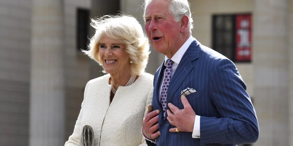 Government warns Prince Charles against political interference