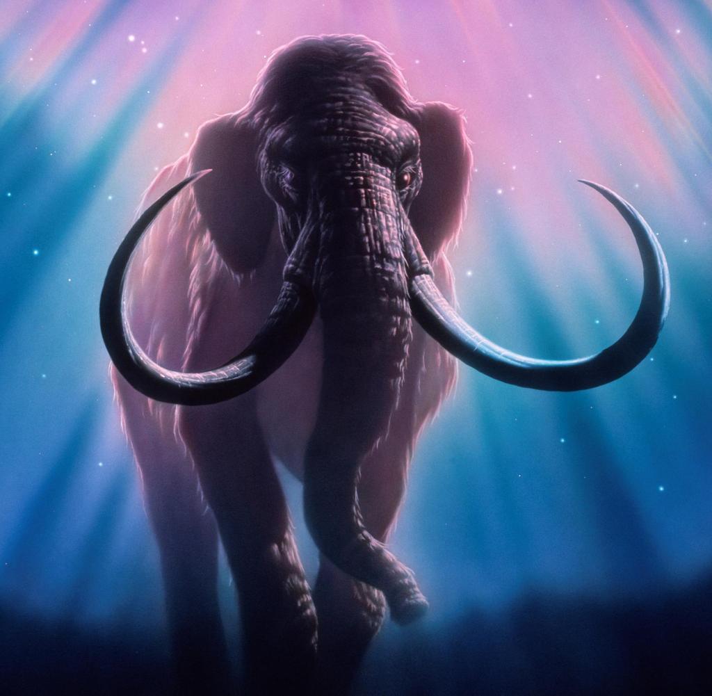 mammoths;  Artwork of a mammoth (Mammuthus sp.) at night below an auroral glow (pink) in the northern sky.  Mammoths were large mammals that adapted to the cold conditions of the Pleistocene Ice Age about two million years ago.  Ranged across North America, Europe and Asia.  The length of its fangs can exceed 3 meters.  Closely related to the elephant, it has been depicted in drawings of caves hunted by early humans.  The big mammoth became extinct about 10,000 years ago as the glaciers retreated.  It is believed that human predation has precipitated its end.  Auroras are caused by the collision of charged particles from the Sun (which are directed to the poles by the Earth's magnetic field) with the atmosphere.