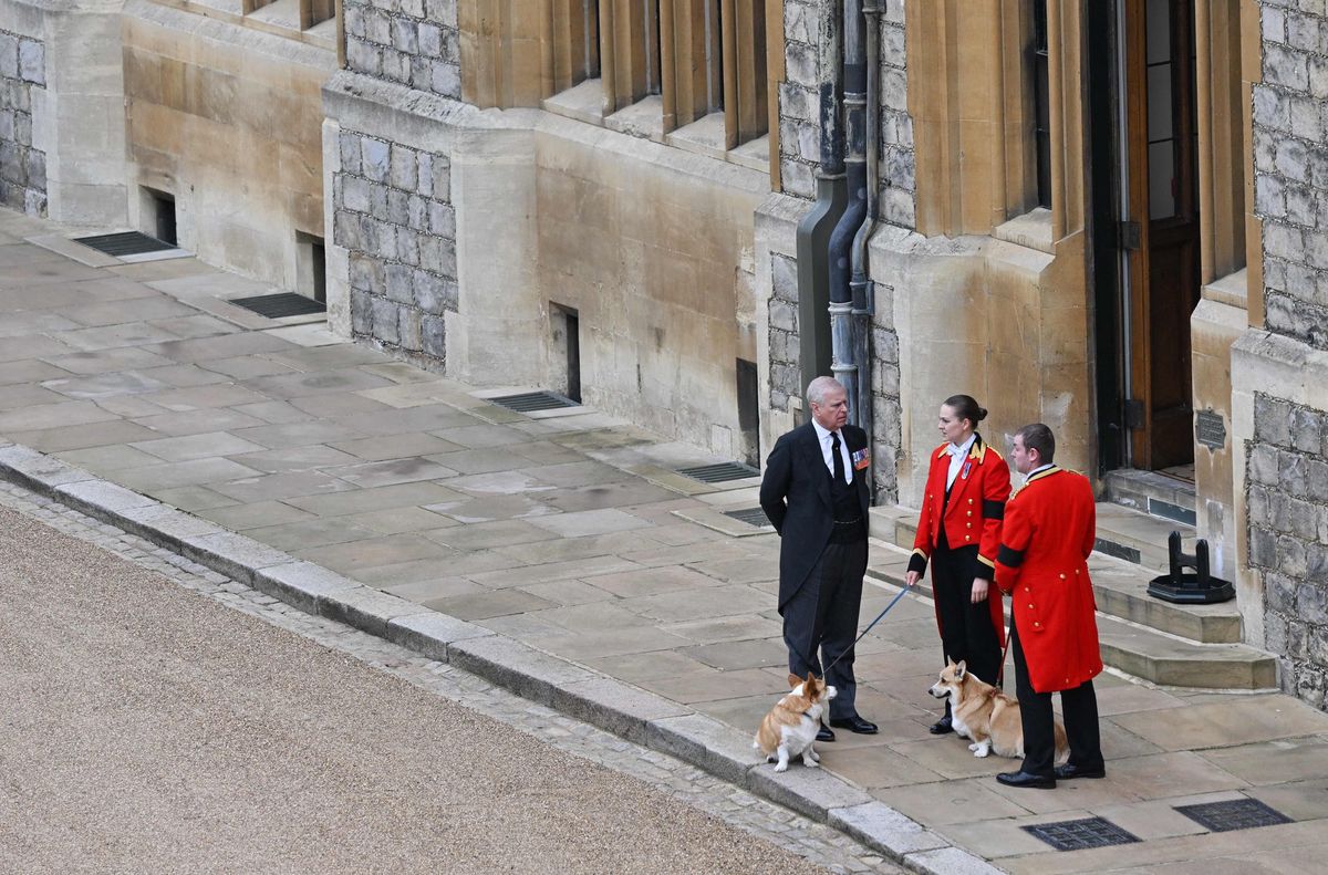 The Queen's Dogs: Prince Andrew and his mother's corgis, Moek and Sandy, at Windsor Castle.  (September 19, 2022)