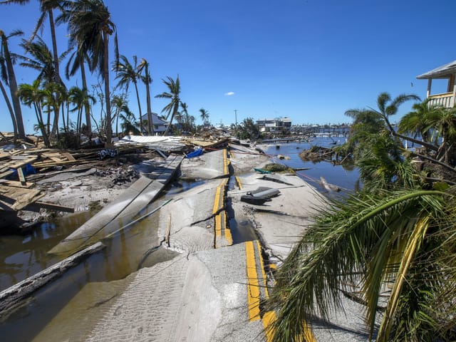 Ruined street, on the side there are palm trees visibly damaged by the hurricane.