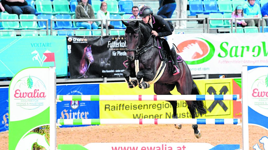Equestrian - Papanitz jumped to first place