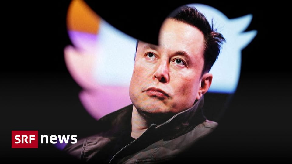 Acquisition by Elon Musk - Tested Twitter profiles will soon cost money - News