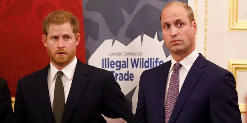 Prince William defends Harry even after the Netflix scandal