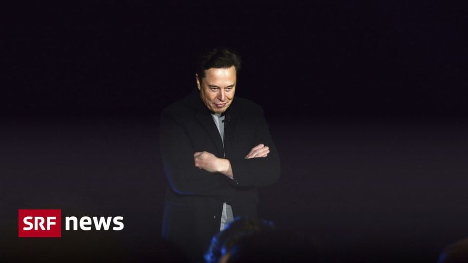 Twitter is in transition - Elon Musk wants to step down as Twitter boss - News